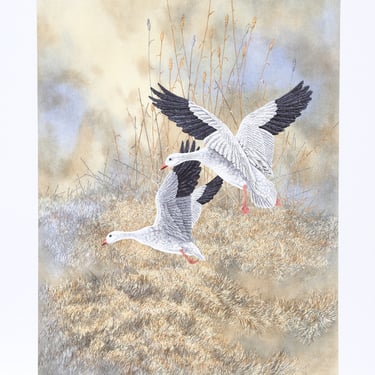 Chris Forrest, Snow Geese Landing, Lithograph 