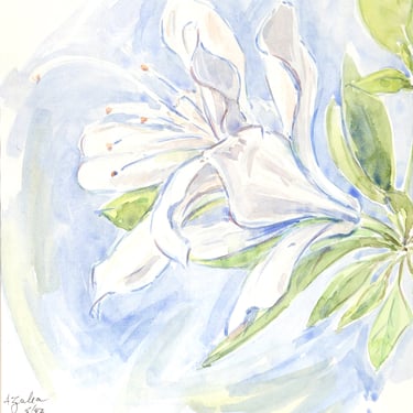 Azalea by Charles Blaze Vukovich Watercolor Painting 1982 