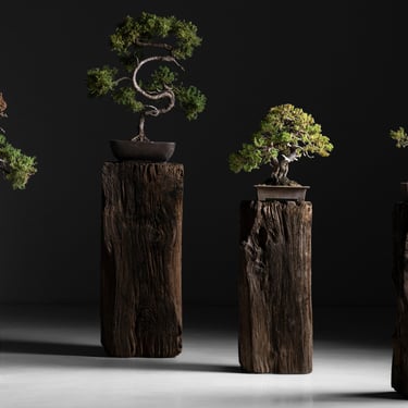 Primitive Wooden Pedestals