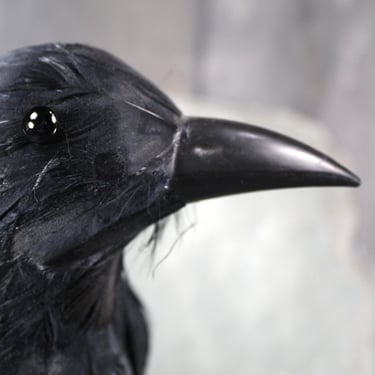 Vintage Halloween Crow | Halloween Decor | Black Raven | Black Crow | Vintage Halloween | Bixley Shop 