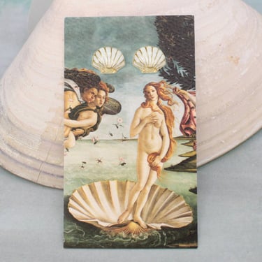 Venus Fine Art Shell Post Earrings