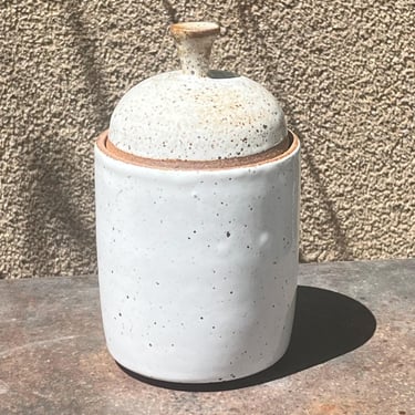 Pair of lidded ceramic humidors / containers signed Williams 