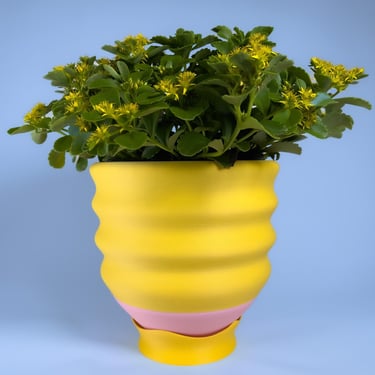 Pink/Yellow Wavy Planter - 3D Printed Plastic - Yellow & Pink - Dopamine Decor - Maximalist Funky Eccentric Indoor Quirky Y2K Whimsical 