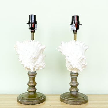 Pair of Caribbean Conch Shell Lamps