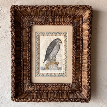 Gusto Woven Frame with Aldrovandi Hand-Colored Ornithological Engraving XIV