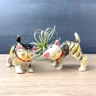 Cat salt and pepper shakers - 1950s vintage 