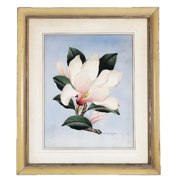 White/Pink Magnolia Watercolor Painting on Paper Signed Shirrell Graves, Framed 