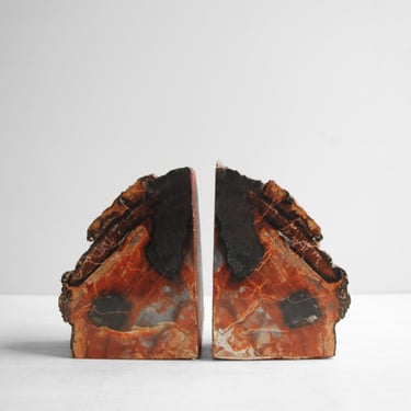 Vintage Petrified Wood Bookends 