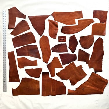 Horween Leather Scrap (Lot 07)