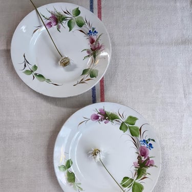 Beautiful set of vintage French hand painted plates from a famous maker Digoin- 2HP 