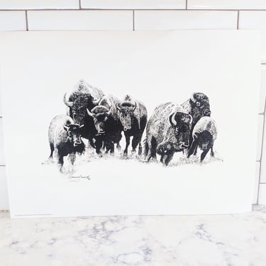 Vintage 2004 Wildlife Art of David Dillon 