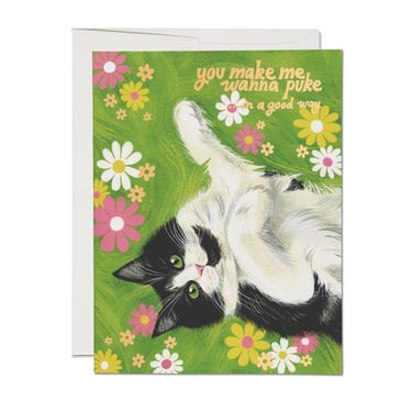 Nice Kitty Love Card