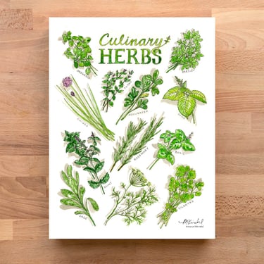 Culinary Herbs Watercolor Art Print