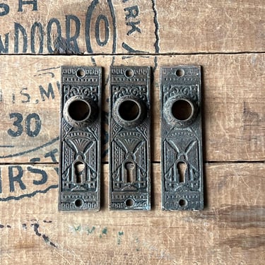 Set of 3 1890s Victorian Eastlake Cast Iron Door Plates 