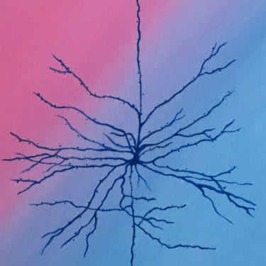 Pyramidal Neuron in pink and blue - original watercolor painting of brain cell - neuroscience art 