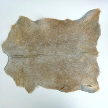 Natural Champagne Goat Hide Throw Rug Hair on Hide 