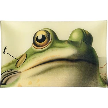 Frog Close-Up 10 x 16&quot; Rect. Tray