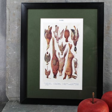 a Original Cookbook Art - Mrs Beeton's Every Day Cookery - Actual Illustration Page Forest Green Mat - Game Meats - UNFRAMED 