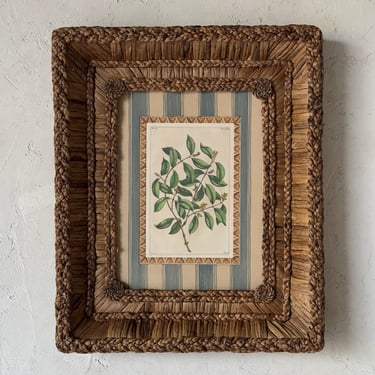 Gusto Woven Frame with 19th C. Rumpf Engraving VI