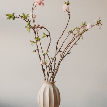 *Preorder* Sakura Branches, Pink Tips