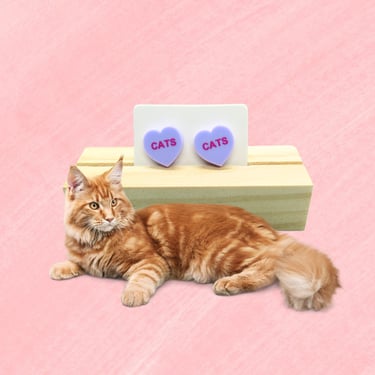 CATS Earrings - Pastel Candy Heart Shaped Studs 