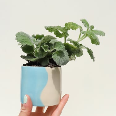 Blue and White Ceramic Planter / Small Indoor Planter / Cactus Plant Pot / Succulent Plant Pot 