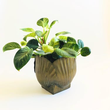 Large Brass Clamshell Planter 