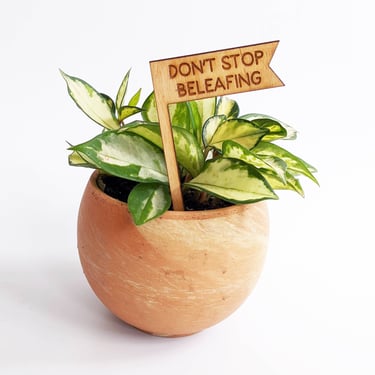 Don't Stop Beleafing Plant Pick