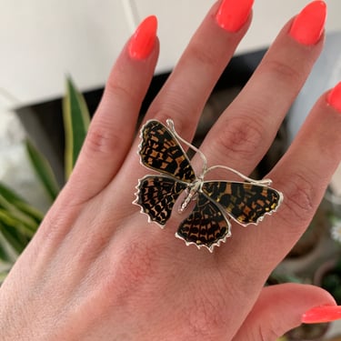 Reverse Carved Amber and Sterling Butterfly Ring