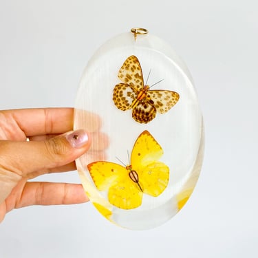 Vintage Acrylic Butterfly Wall Hanger