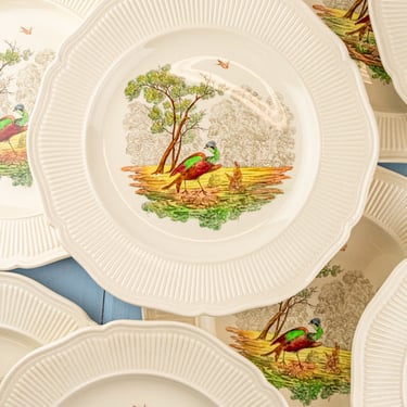 Vintage Royal Doulton &quot;Birbeck Print&quot; Dinner Plate Set - 15 Pieces