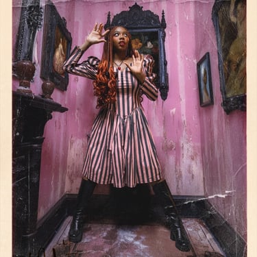 Petals and Poison The "Malvolia" Dress in ASYLUM PINK