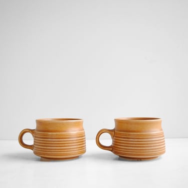 Vintage Pair of Ceramic Coffee or Tea Mug Cups in the Canterbury Style by Denby Langley England 