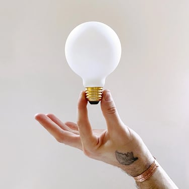 Lightbulb • Matte Porcelain LED G25 Bulb 