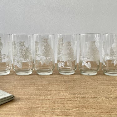 Vintage Libbey White Owls Drinking Glasses - Set of 6 - Retro Bar Ware 