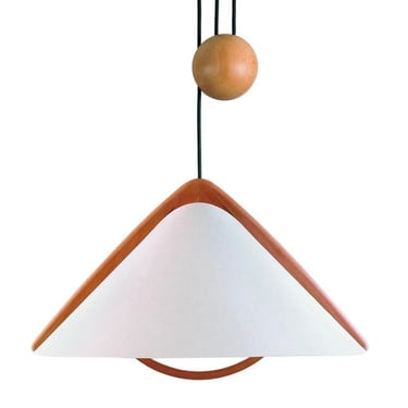 Vintage Domus Ceiling Rise and Fall Pendant Lamp Beech 