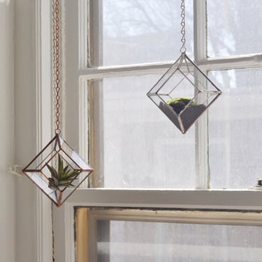 Zephyrus Terrarium, small -- for air plant terrarium or small succulent -- stained glass -- terrarium supplies -- eco friendly 
