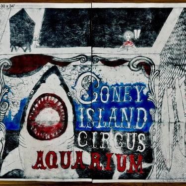 Mitsushige Nishiwaki | &quot;Coney Island Aquarium&quot;