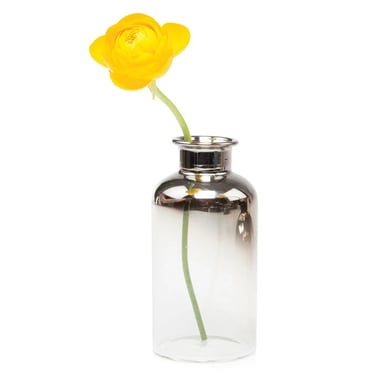 Glass Modern Flower Vase | Aptar