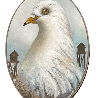 &quot;Tiffany&quot; Pigeon
