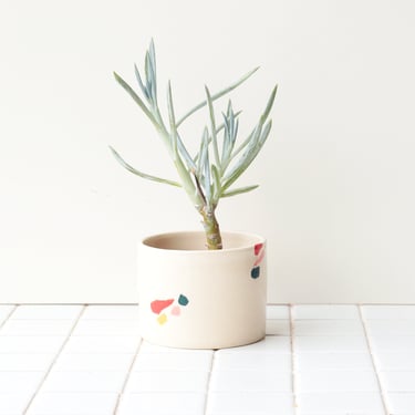 Colorful Ceramic Planter | Modern Pottery Plant Pot | Terrazzo Style Cactus Planter | Indoor Succulent Decor 