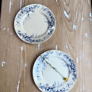 Beautiful set of 2 vintage French ironstone plates with birds 