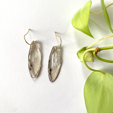 Cicada Wing Earrings by flora.bee.kc