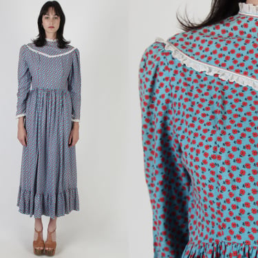 Apple Print Long Pilgrim Dress, Americana Style Field Dress, Vintage 1970s Large Western Core Dress 