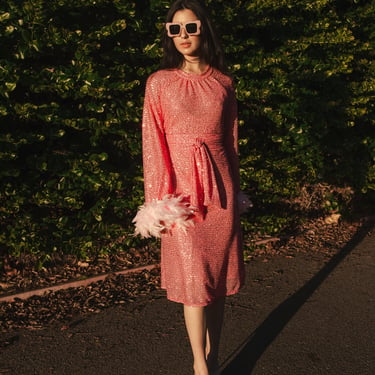 Flamingo Sequin Raglan Dress 