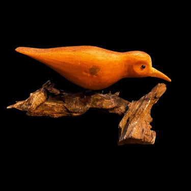 Sandpiper on Driftwood