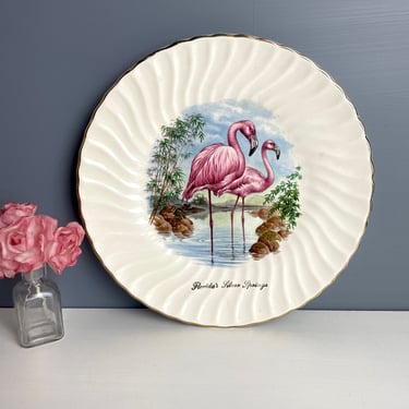 Florida's Silver Springs souvenir plate - vintage flamingo plate 