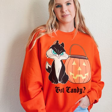 Vintage Looney Tunes Halloween Sweatshirt / Got Candy Pussy Foot Cat 