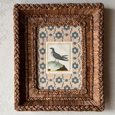 Gusto Woven Frame with Francois Nicolas Martinet Hand-Colored Bird Engraving XXIX