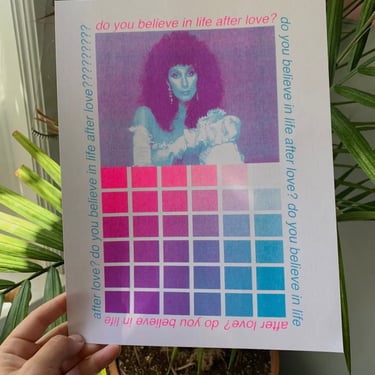 Cher Color Chart Riso Print